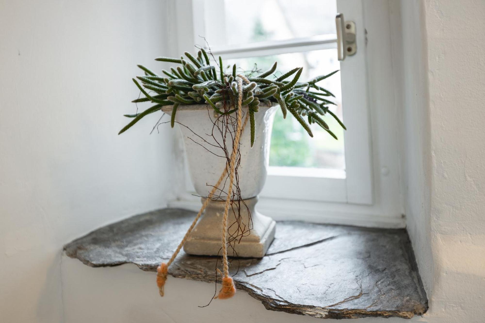 Seminarhaus Heim Retreat, Fachwerkhaus Von 1451, Yoga, Naturgarten Fuer 10 Personen Appartement